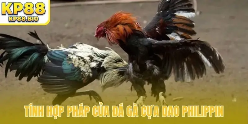 Tính hợp pháp của đá gà cựa dao Philippin